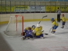 DSC00950.JPG