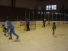 DSC00310.JPG