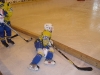 hokej 015.jpg