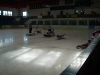 SL274335.JPG