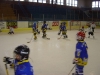 DSC00227.JPG