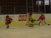 DSC00239.JPG