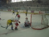 DSC01033.JPG